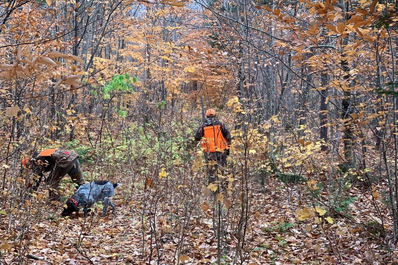 Upland Hunting Clothing Upland Hunting Clothing