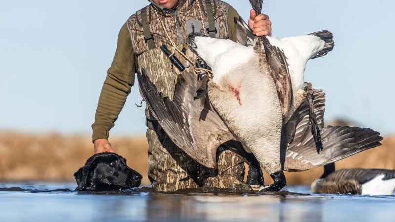 gilet de chasse à la sauvagine gilet de chasse à la sauvagine