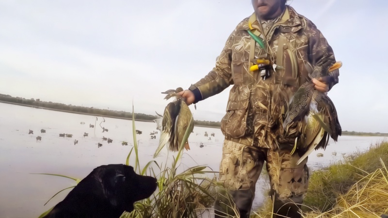 سترة صيد البط المموهة المقاومة للماء